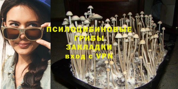 сатива Белоозёрский