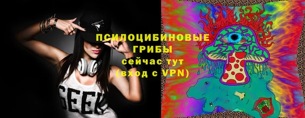 сатива Белоозёрский