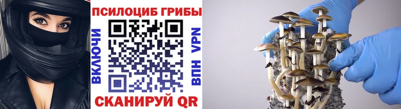 Галлюциногенные грибы ЛСД kraken зеркало Торопец цена